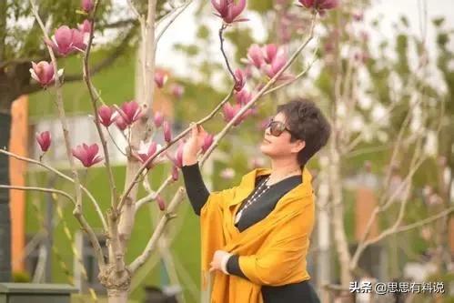 日本大妈发型变化,为啥大妈都是短发发型