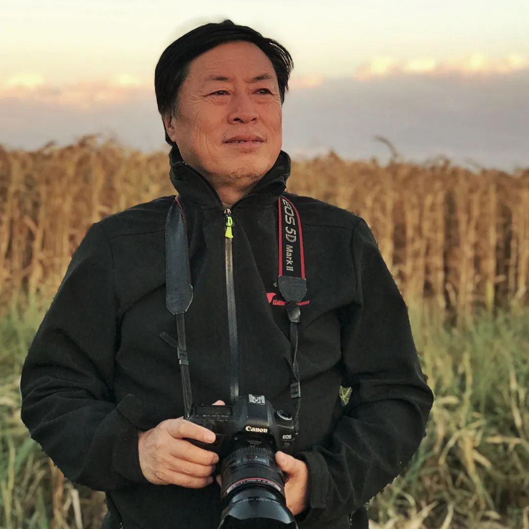 刘凤林的画家,摄影中国签约摄影师照片