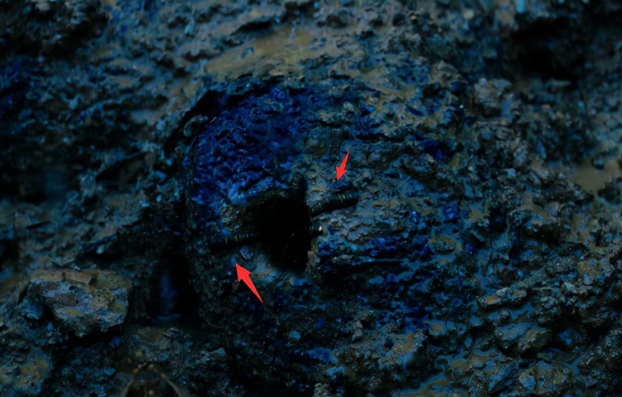 云南虫谷到底还播不播,云南虫谷今天能播么