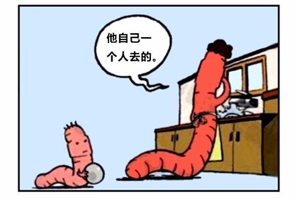 漫画蚯蚓历险记,蚯蚓漫画