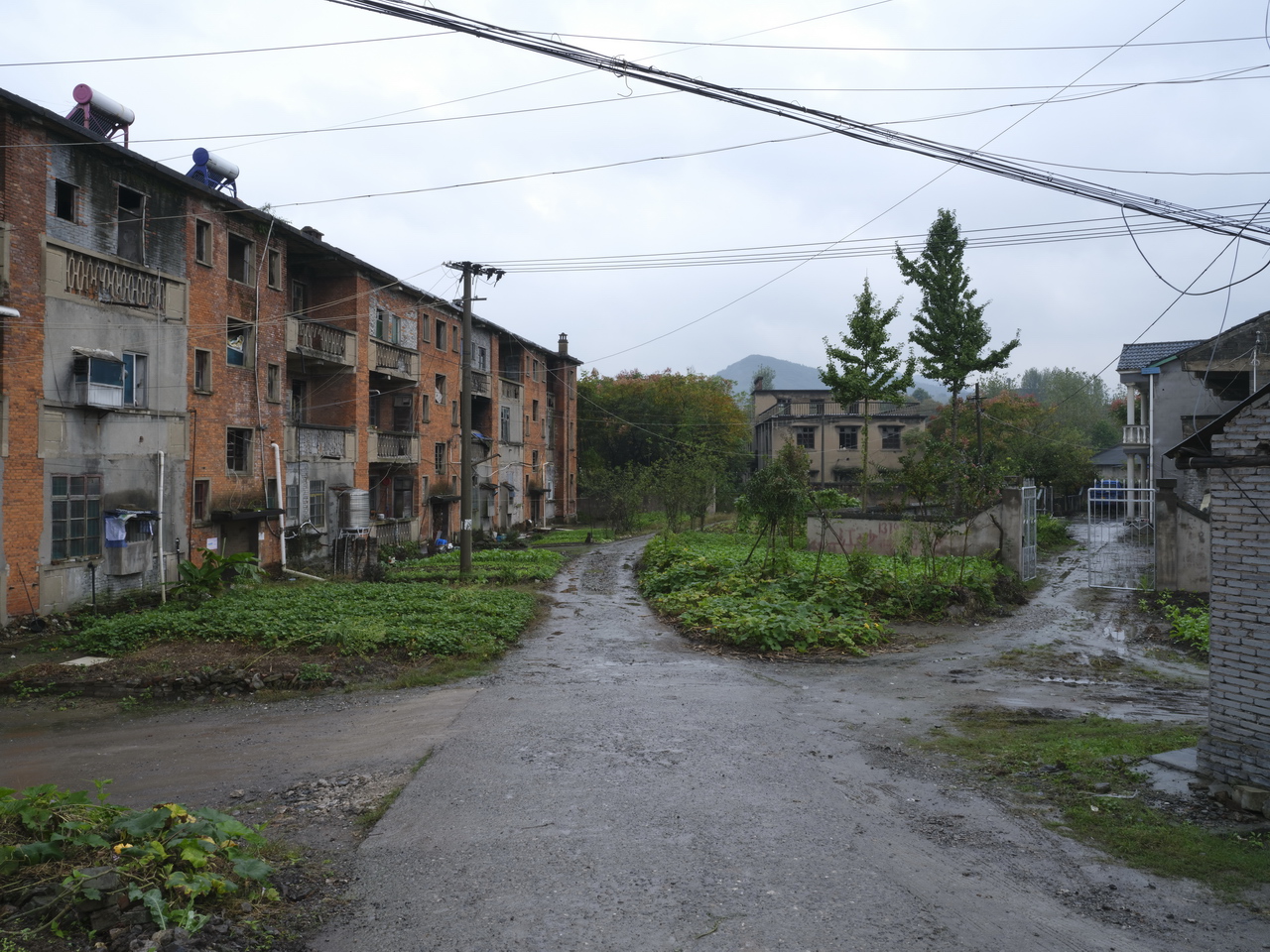 湖北三线厂名单515厂,湖北三线厂名单5713厂