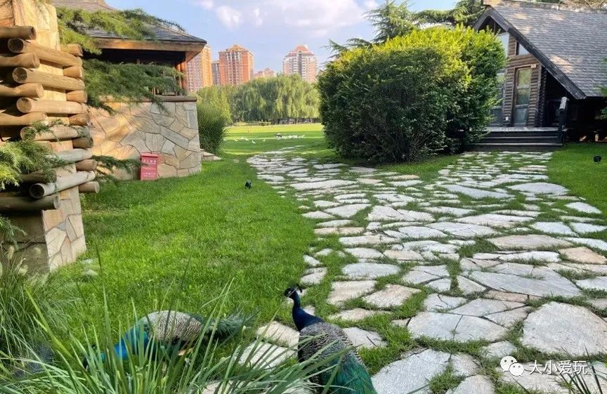 北京庄园旅游景点推荐,北京亲子庄园游玩推荐