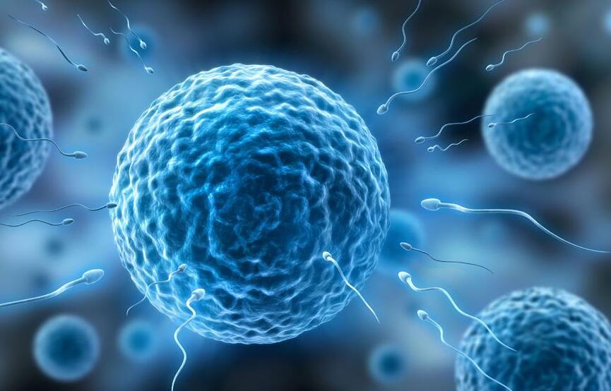 关于试管婴儿，流传最久的6大谣言，至今还有人会上当