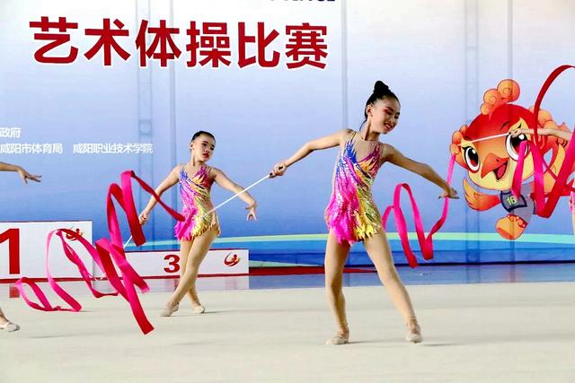 一个奥运冠军训练一年要花多少钱,培养一个奥运冠军需要多少钱