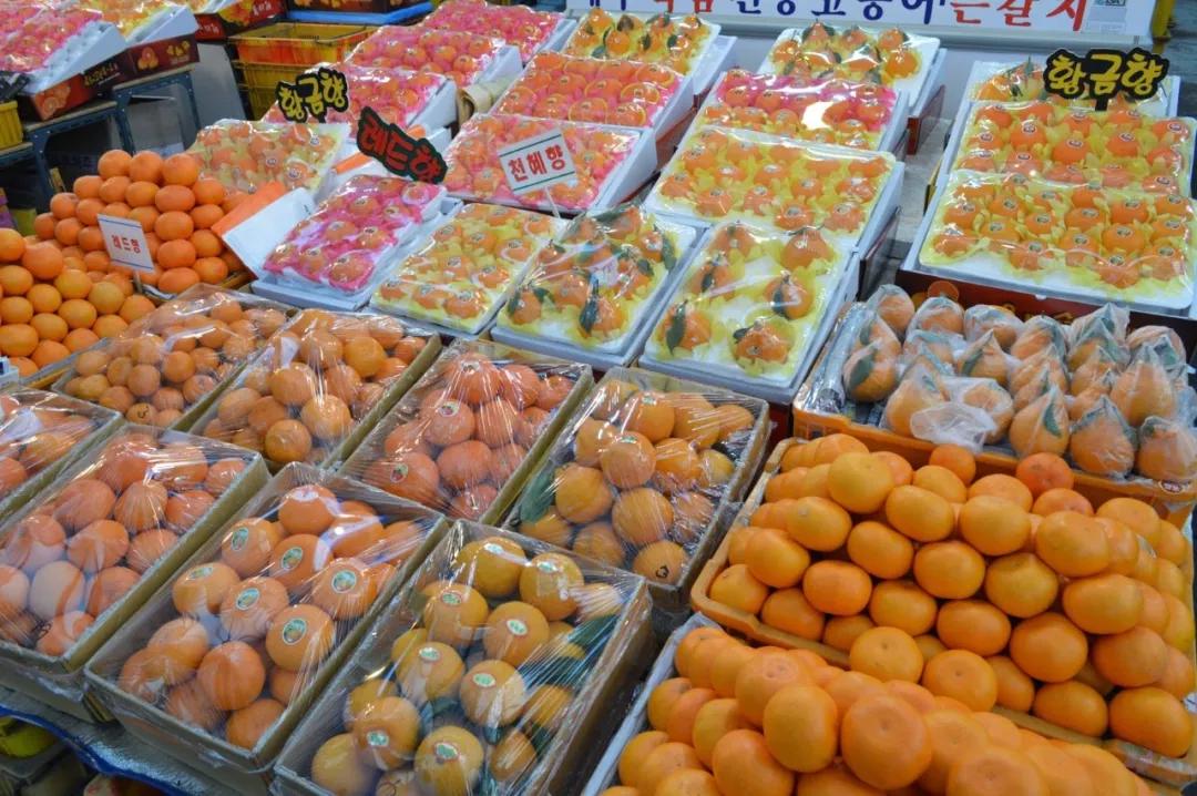 济州岛吃货行,济州岛自由行美食攻略