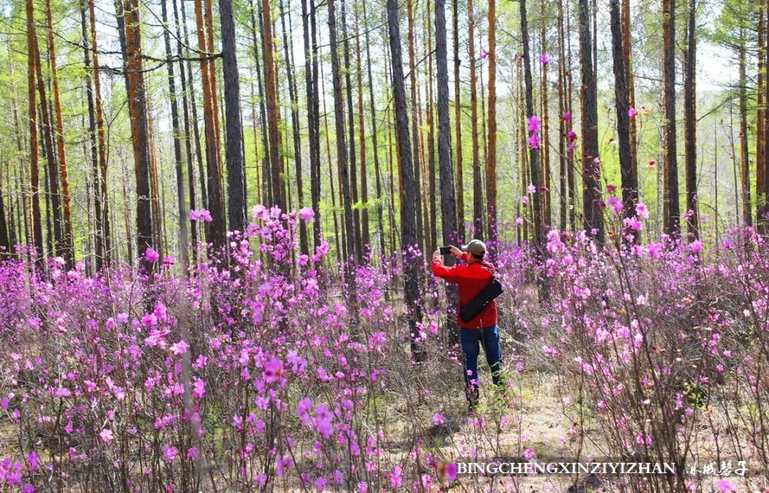 寻找中国最美的春季,探寻中国最美秘境