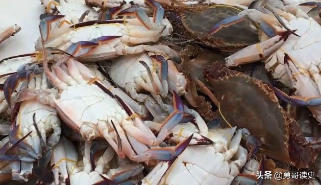 天津八大件和八大怪,老天津几大怪