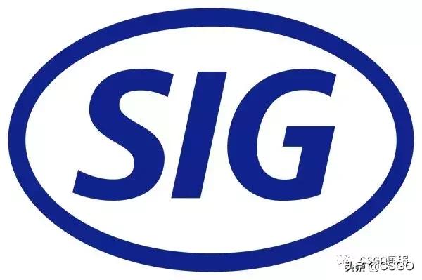 西格绍尔45冲锋枪,西格绍尔战术冲锋枪