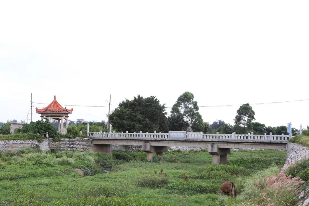 渚ㄨ缁挎鍜栧暋,鍙戠幇榫欐箹涔嬬編