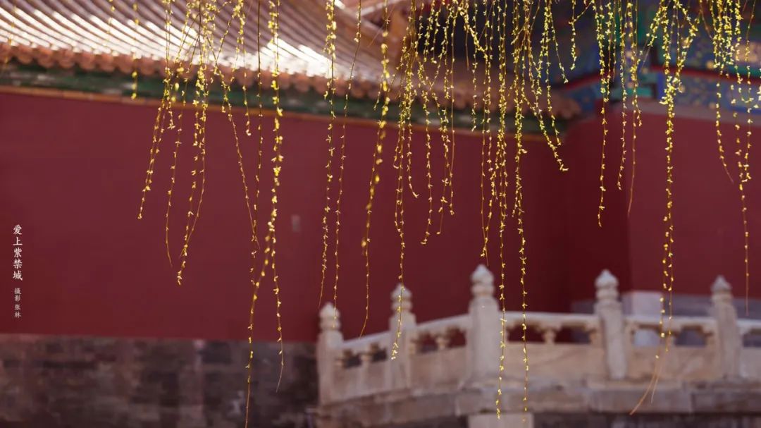 守成皇帝嘉庆皇帝,嘉庆皇帝如何治国