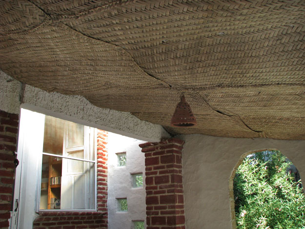 打米剩下的稻壳可以用来种东西吗,打稻剩的麸皮可以种花吗