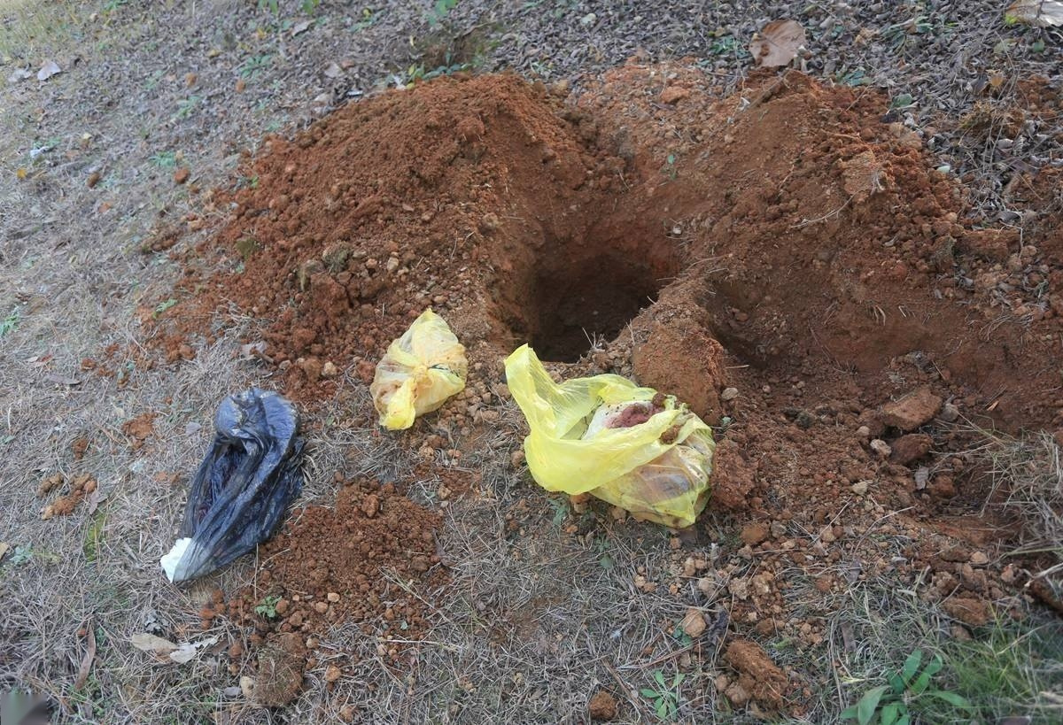 医院做人流的胎儿怎么处理,医院里面人流的胎儿怎么处理