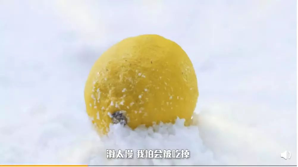 士力架广告饿了么,士力架饿了么广告鬼畜