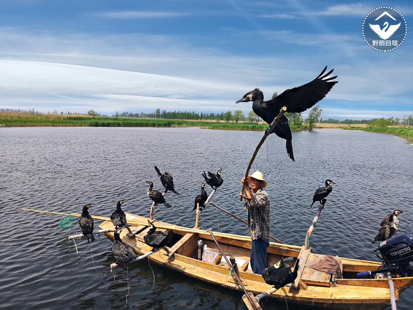 周末带娃自驾白洋淀，下地笼、抓小虾，亲密接触鱼鹰