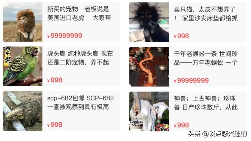 闲鱼上的神兽多少钱一只,闲鱼上的神兽卖家