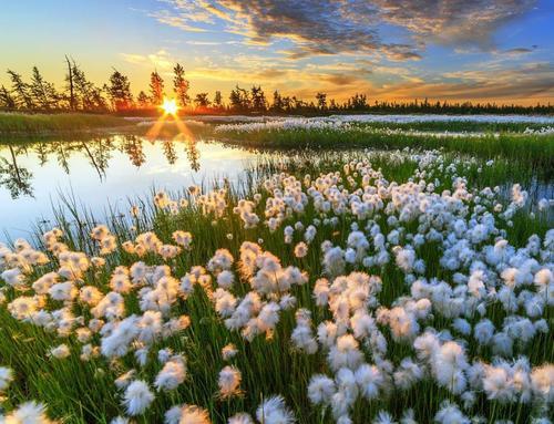 互联网运营项目,互联网创业5大项目