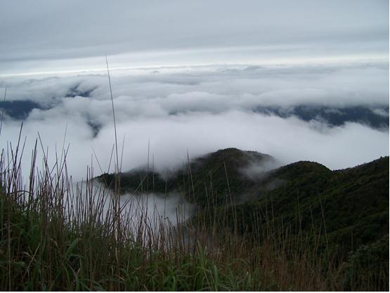 森呼吸运动乐园乘车路线,森呼吸好玩吗
