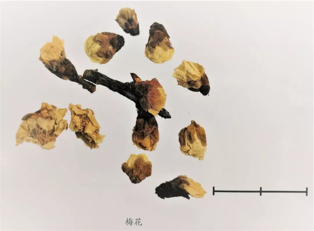 新版人民币金线错位有收藏价值吗,人民币里竟然还藏着这些小秘密