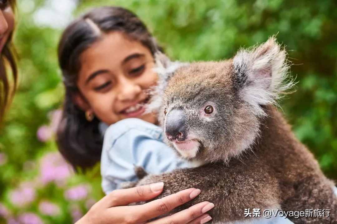 暑期出境游推荐,暑假适合去的国外旅游