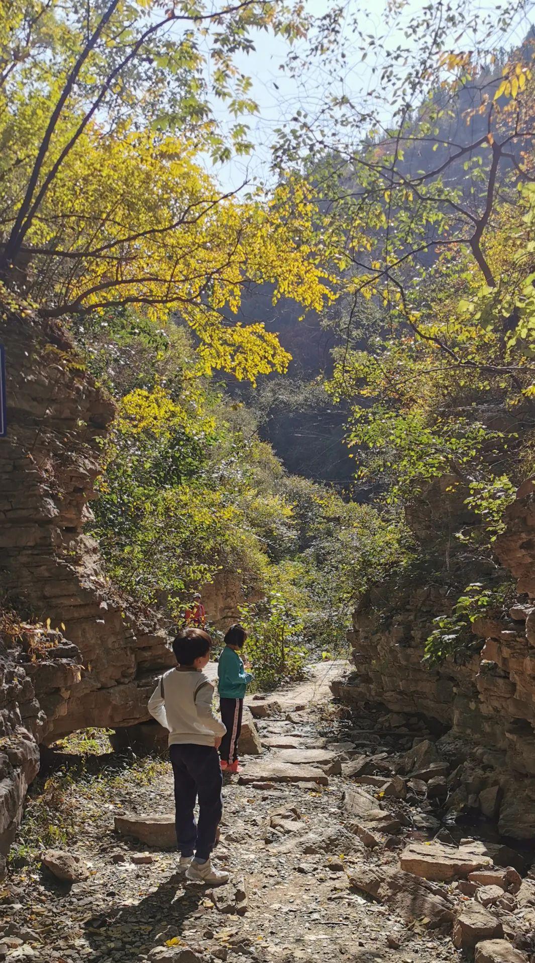 济南免费周末遛娃玩水好去处,济南亲子公园游玩地点推荐