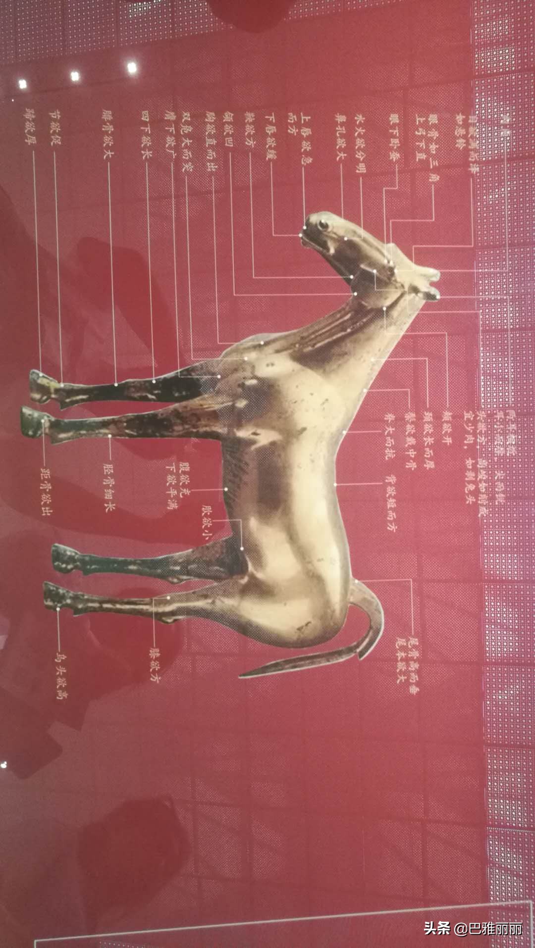 西安让人流连的地方,西安让人流连忘返