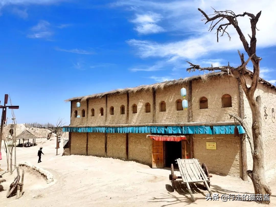 超出预期的大西北第一站，我要吹爆银川！吃玩住行全含