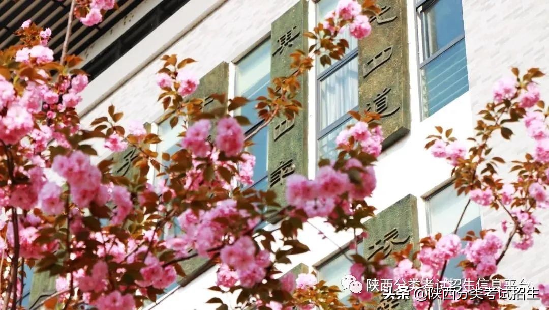 两汉三国，真美汉中|汉中职业技术学院