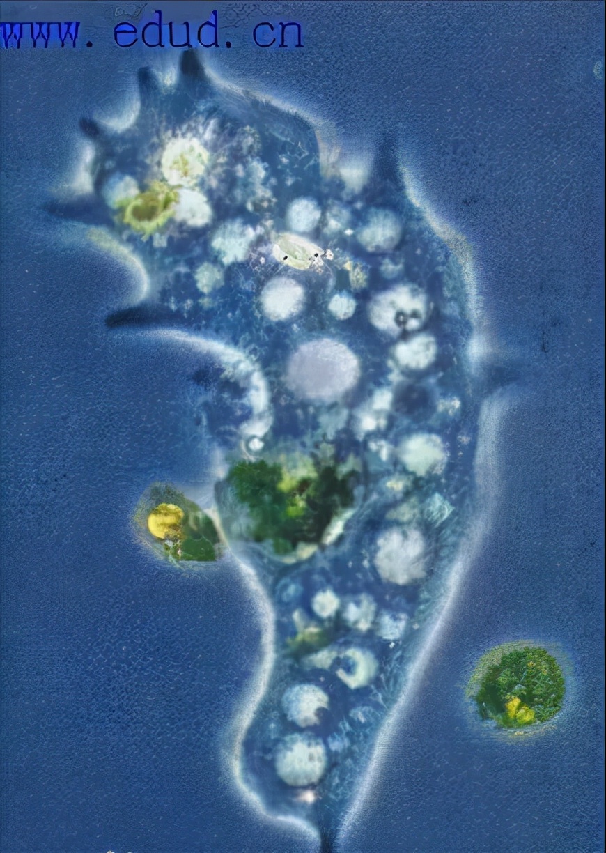 胖哥俩爆出大量使用过期食品,坏胖哥俩肉蟹煲大量使用过期食材