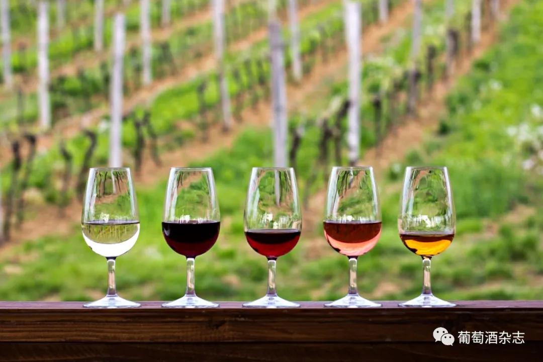 中国葡萄酒主产区之一,宁夏贺兰山东麓葡萄酒产区