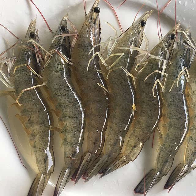 买大虾怎么挑选新鲜的,过年买虾啥时候买合适