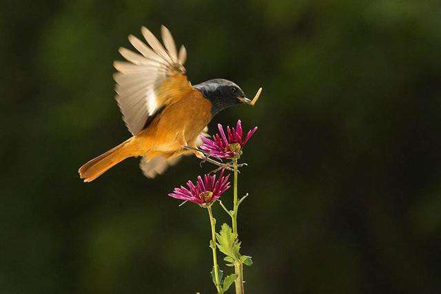 学姐来了请多关照,学妹来了学姐应该怎么办