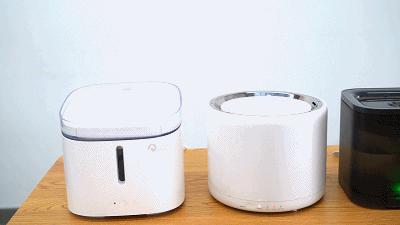 宠物饮水机“漏电”化身杨永信!你还敢让猫咪用它喝水吗?