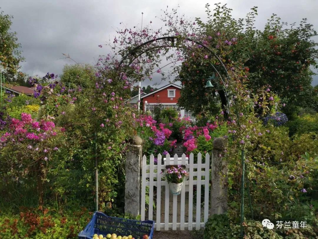 芬兰幼儿园实习——准备篇（提前做哪些准备）