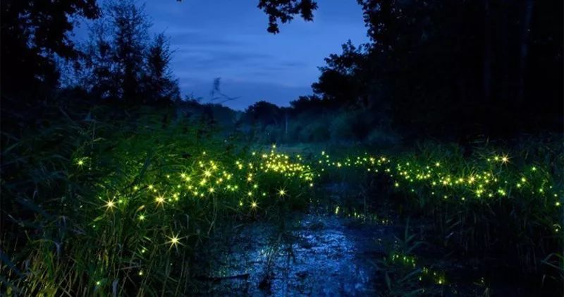 适合蜜月旅游的地方,这些地方美到窒息不去后悔
