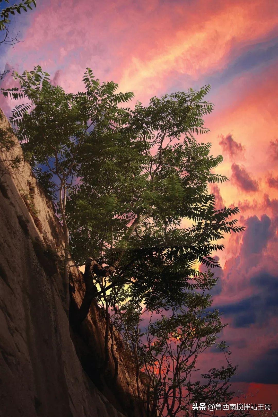 巨野白虎山游记,巨野金山为什么叫天下第一山