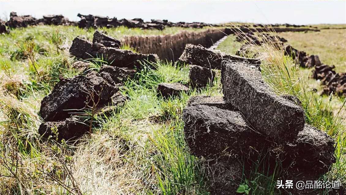 涓嶇敤鑷涔熷彲浠ョ粌钁佃姳瀹濆吀,涓嶇敤鑷缁冩垚钁佃姳瀹濆吀鐨勪汉