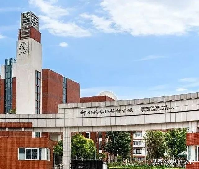 小升初枫杨摇号,枫杨小升初真题