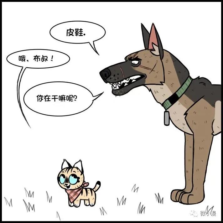 小猫咪欺负大狗漫画,小猫咪欺负大狗漫画暖心