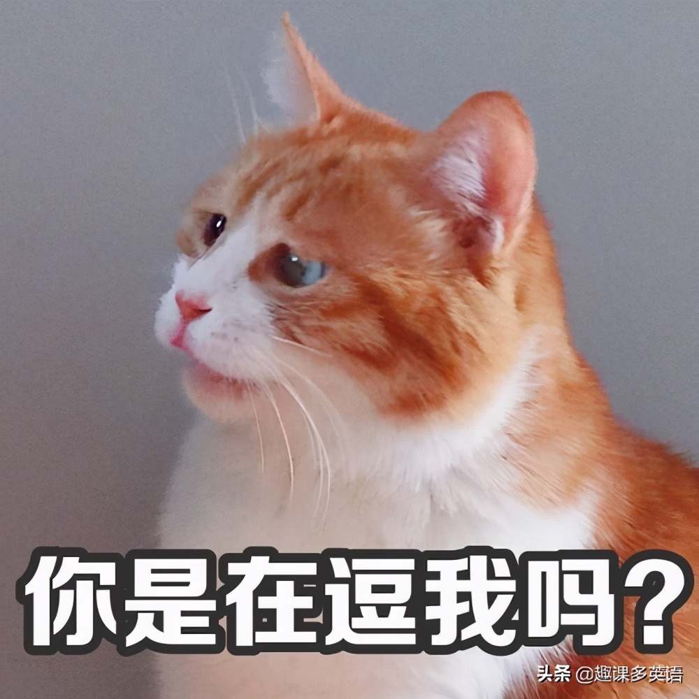 imgame什么意思,imgame