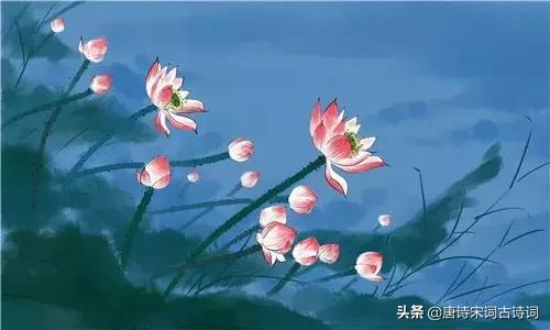 纳兰诗100首,纳兰词十首最好的词的注解