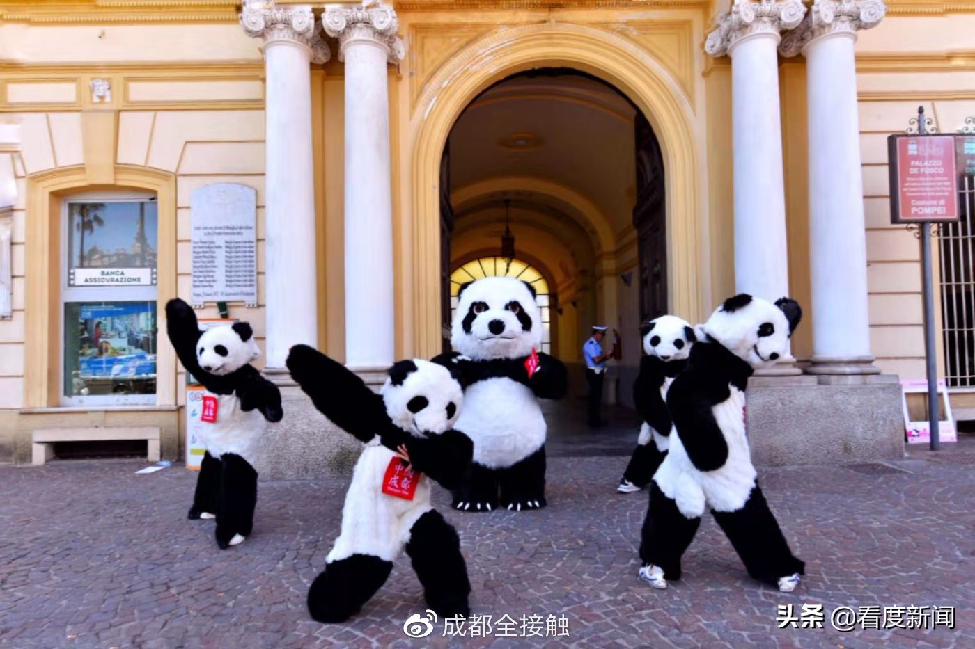 熊猫宝宝来到户外,成都熊猫宝宝去哈尔滨