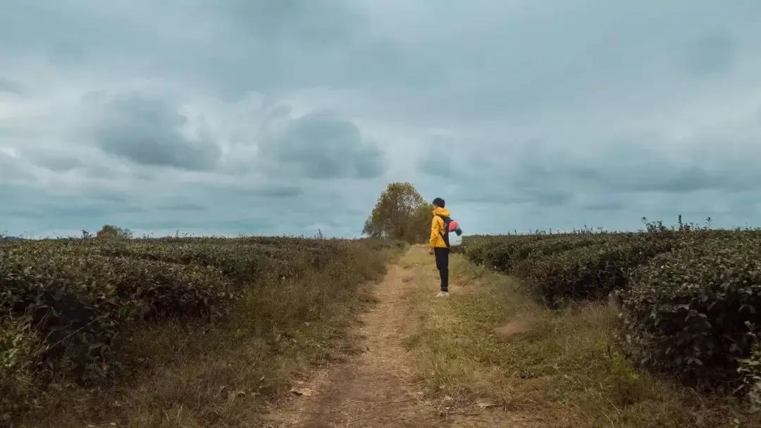 病毒式营销的起源,十大病毒营销