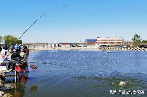 黑坑水质不好怎么钓鱼,黑坑看水质用什么饵钓鱼