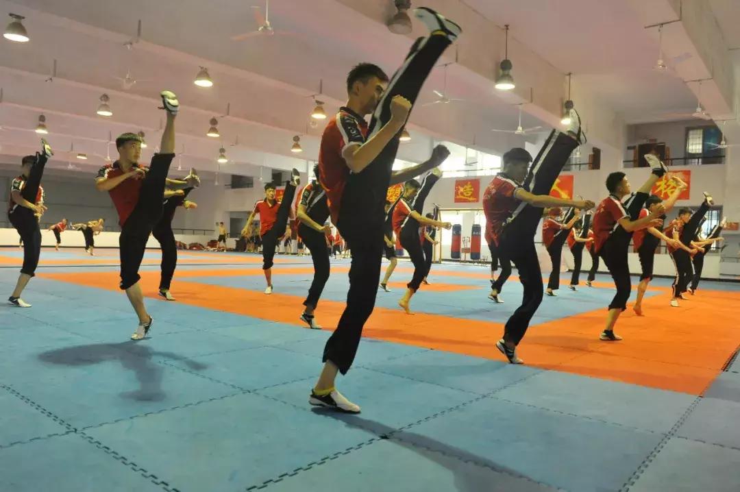 自学散打最简单方法,零基础自学散打方法