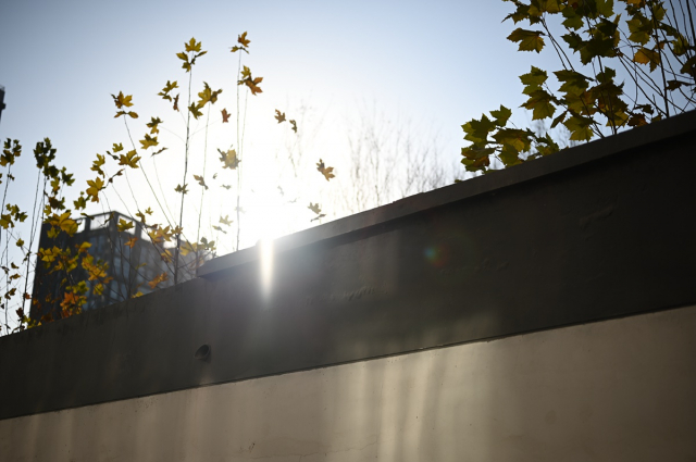 尼康z50mmf1.2s镜头,尼康z50mm1.8s镜头