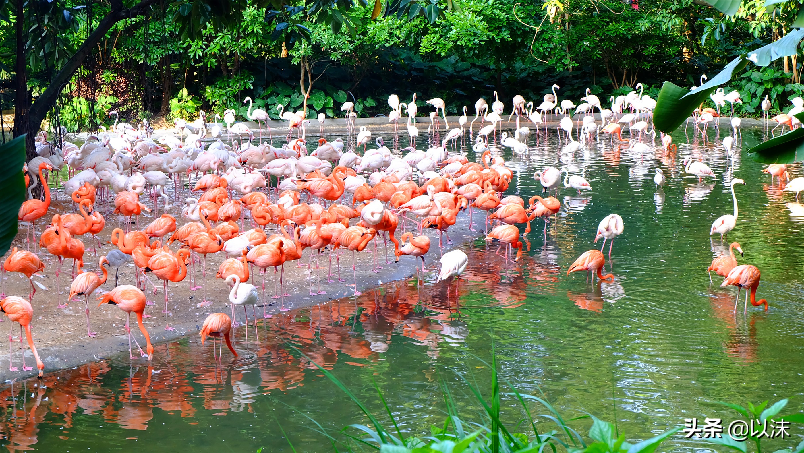 长隆野生动物世界游玩攻略,长隆野生动物世界带娃攻略