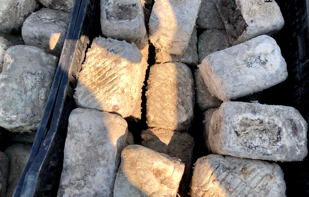 阜新各乡镇集市,阜新地方特色集市