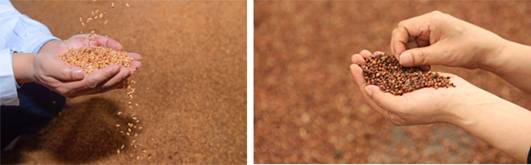 于荣光打广告的梁大师酒怎么样,于荣光梅兰芳大剧院