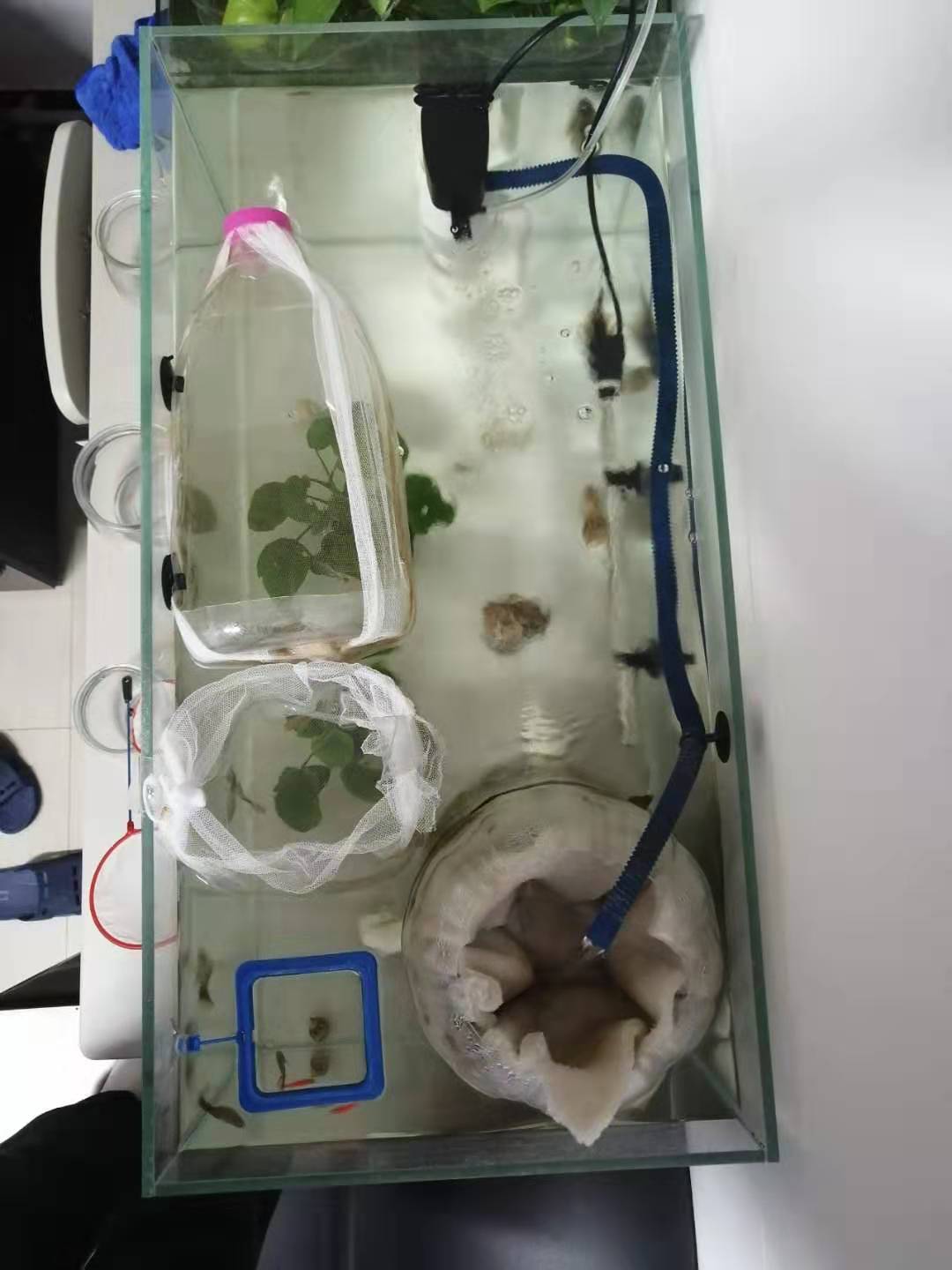 鱼便分离器制作方法,鱼便分离器详解