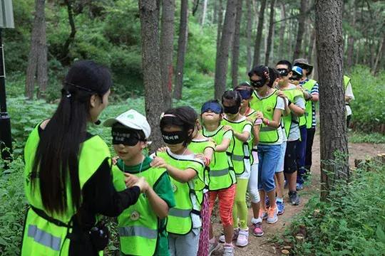 春天来了孩子们会做些什么,春天的孩子在做什么